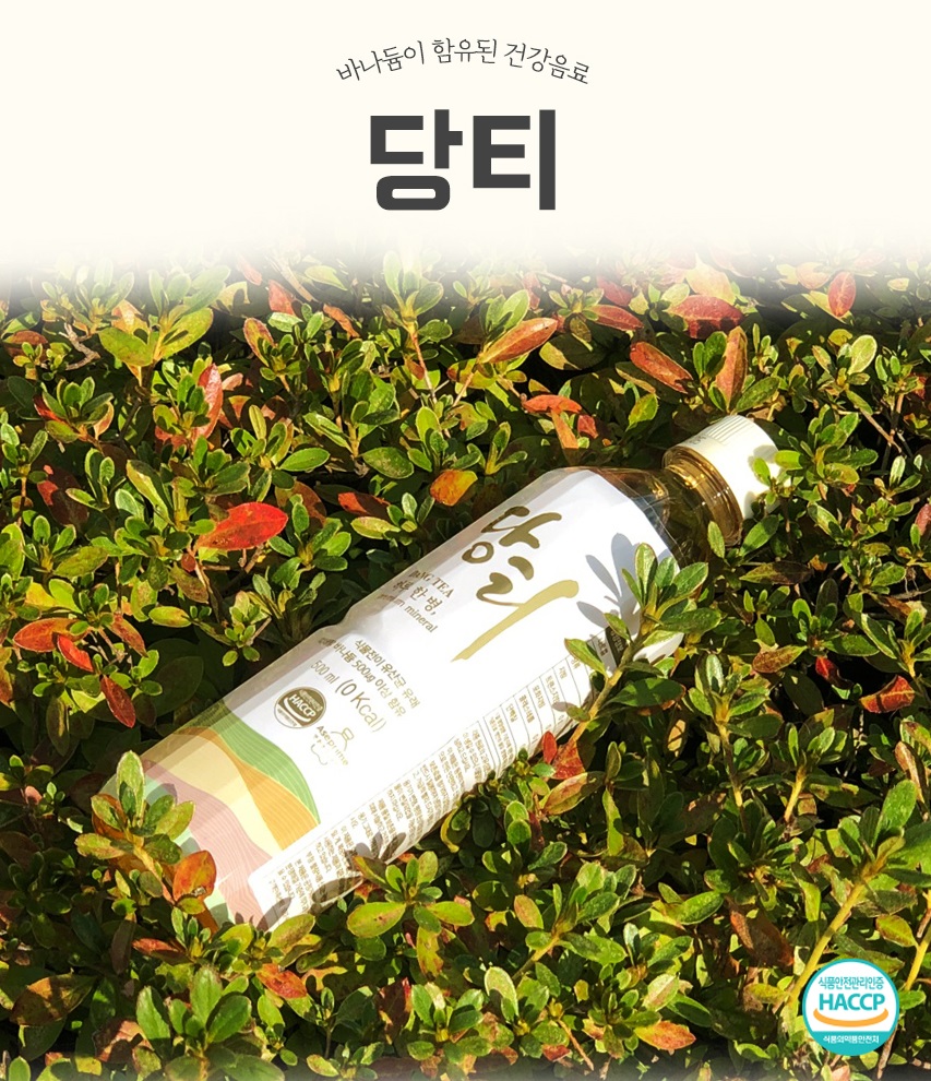 당티 럭투 24병
